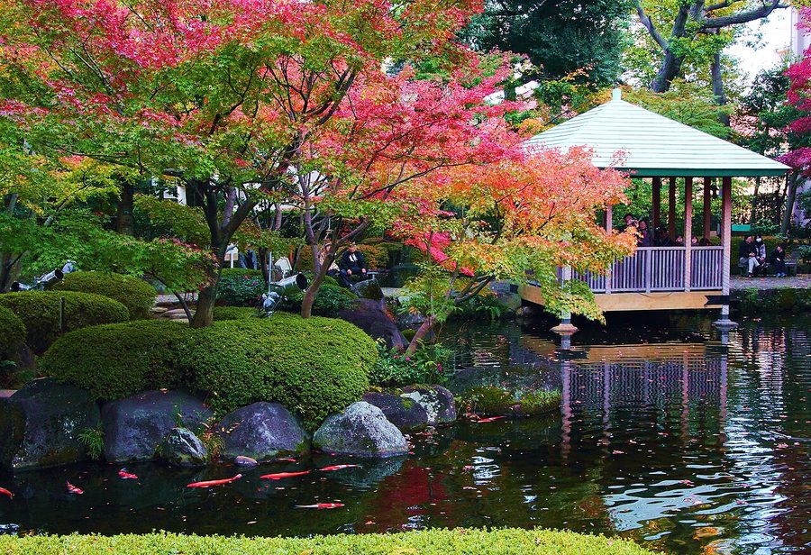 大田黒公園の紅葉と池