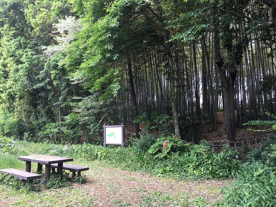 竹林公園（南沢一丁目）