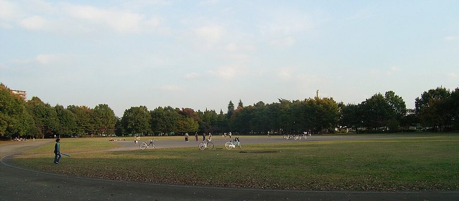 都立東大和南公園の広場