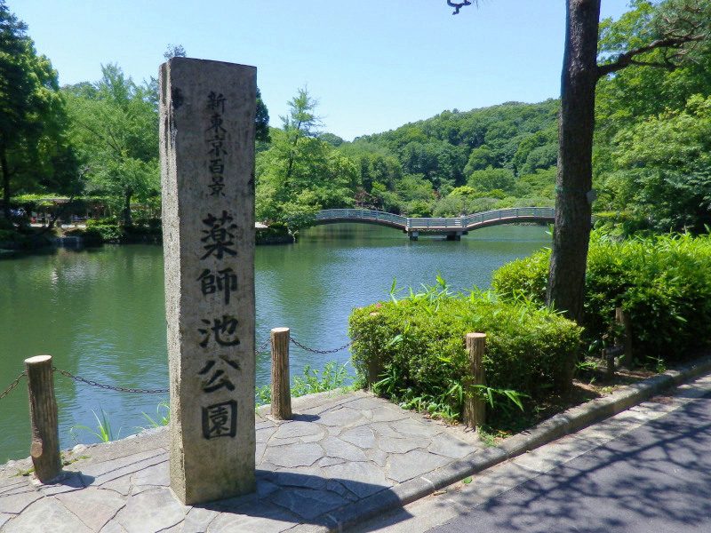 薬師池公園の石碑と薬師池