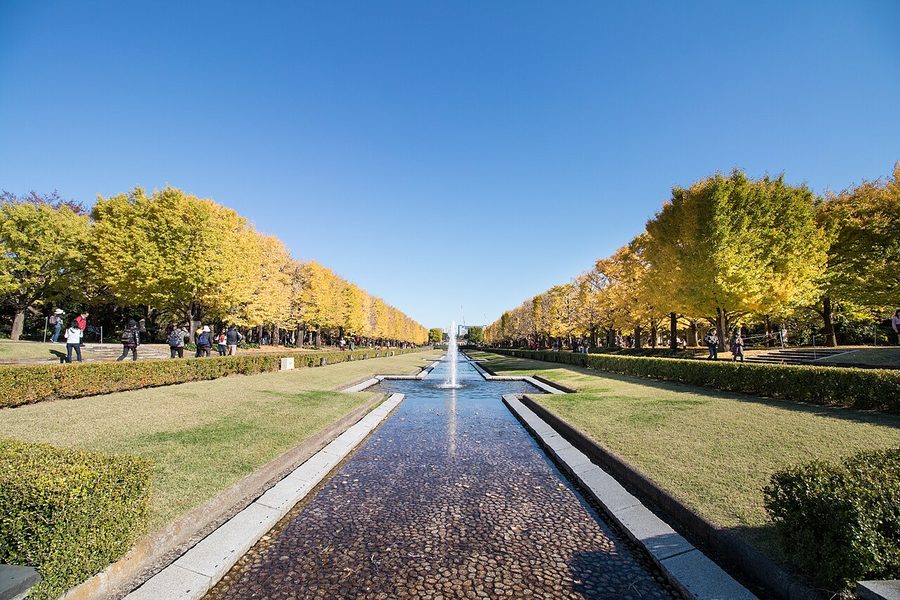 国営昭和記念公園のイチョウ並木
