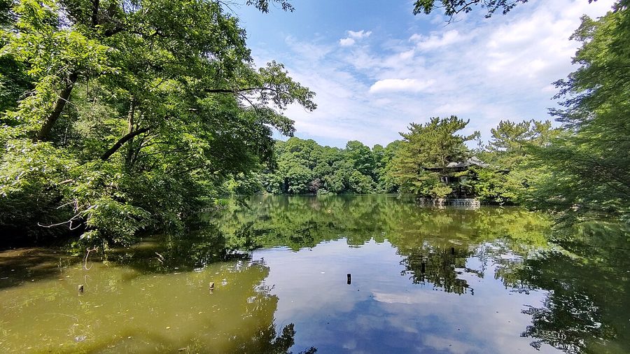 三宝寺池と厳島神社
