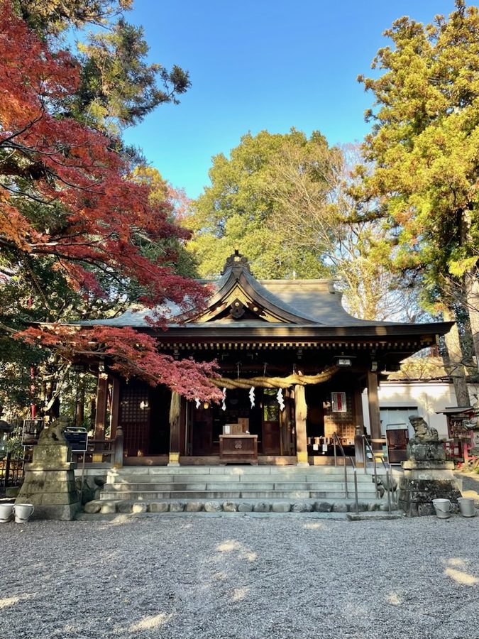 阿蘇神社の社殿