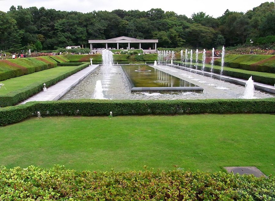 神代植物公園のばら園