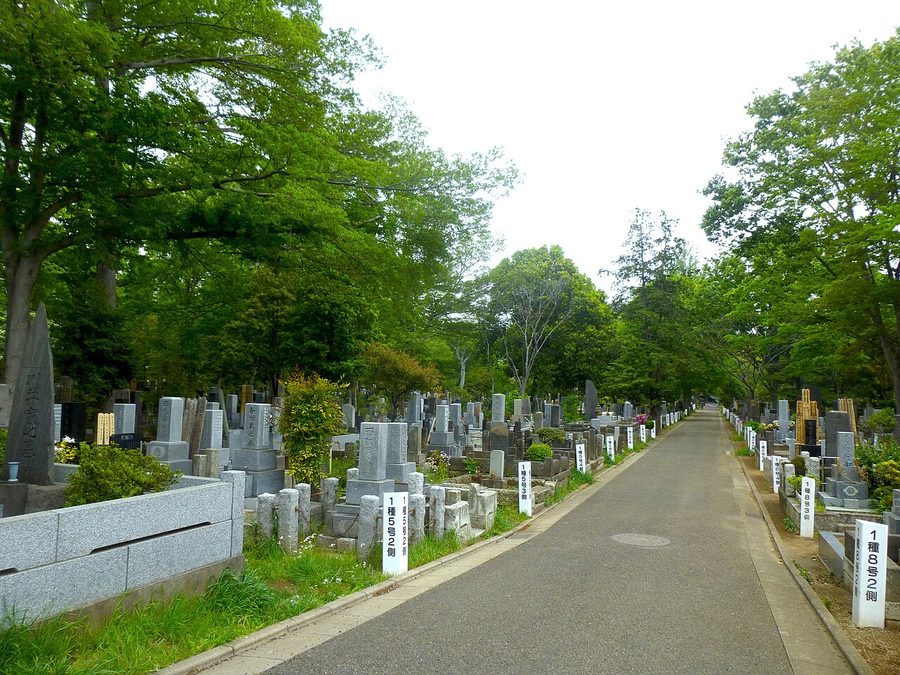 雑司ヶ谷霊園の園内路