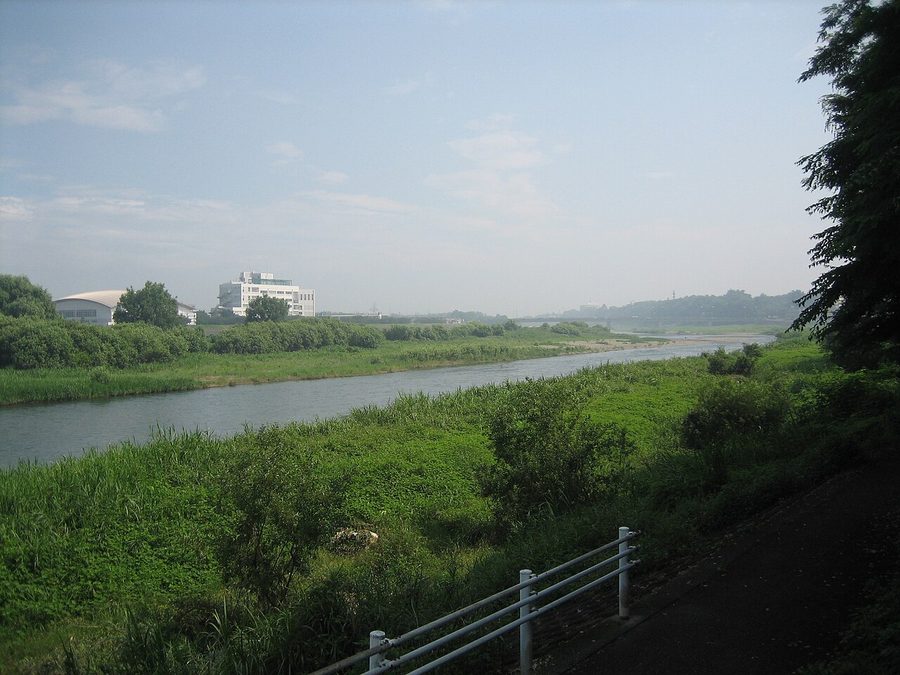 思川の眺め