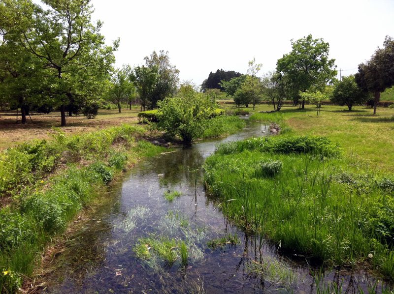 蓼沼公園