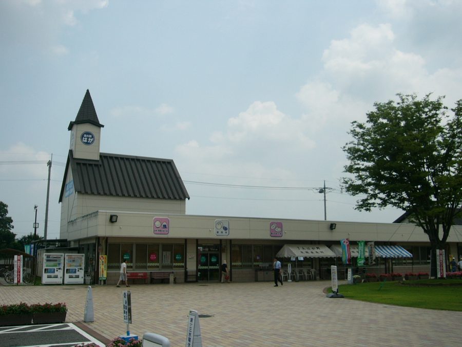 道の駅はが