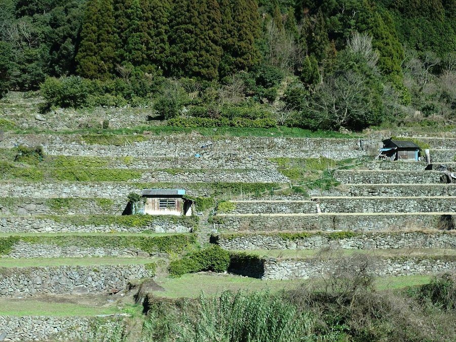 水俣市大窪付近の棚田