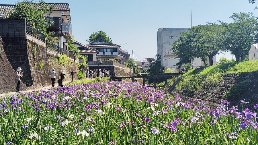 高瀬裏川水際緑地