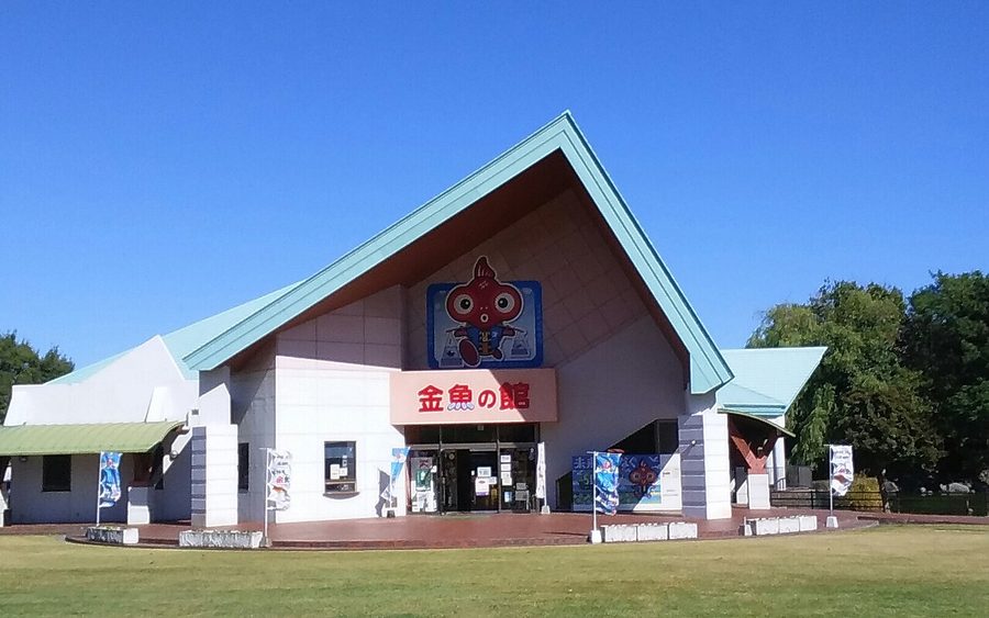 金魚の館