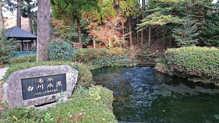 白川水源