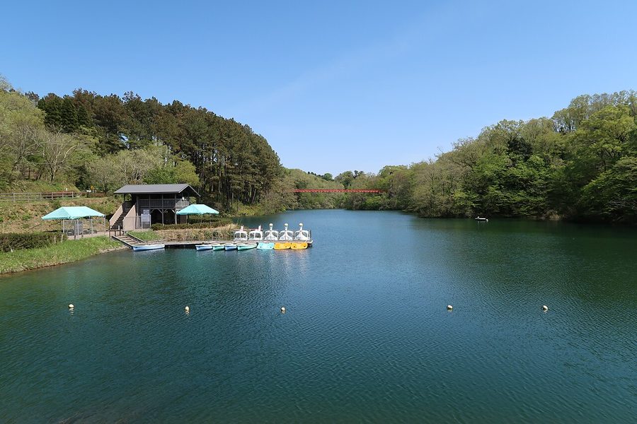 石川県森林公園の加茂池