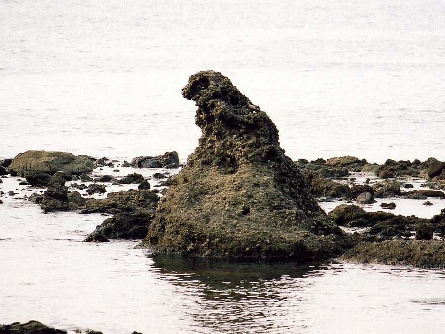 ゴジラ岩