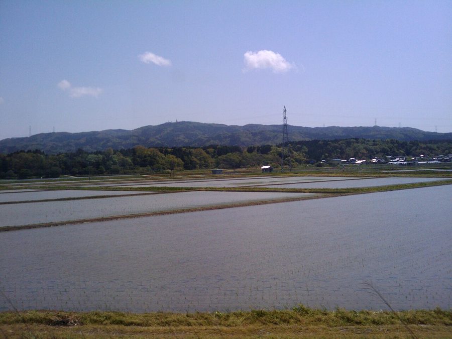 宝達山の遠景と田植え後の水田
