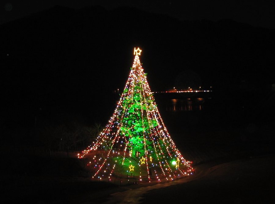 宮ヶ瀬湖畔のクリスマスツリー