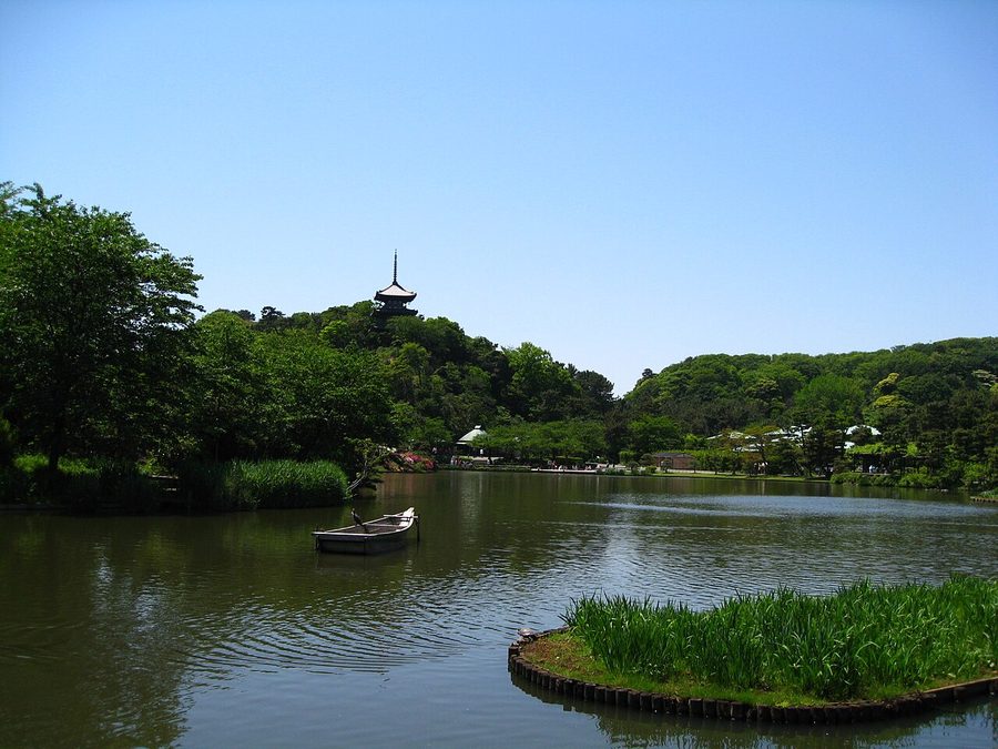 三溪園の池と三重塔