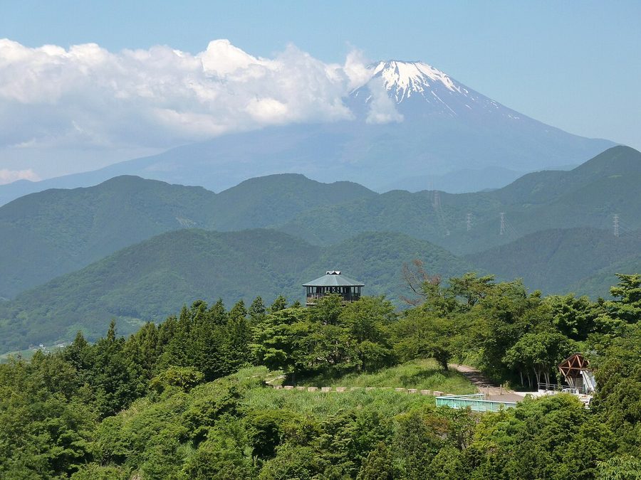 菜の花台の展望台と富士山