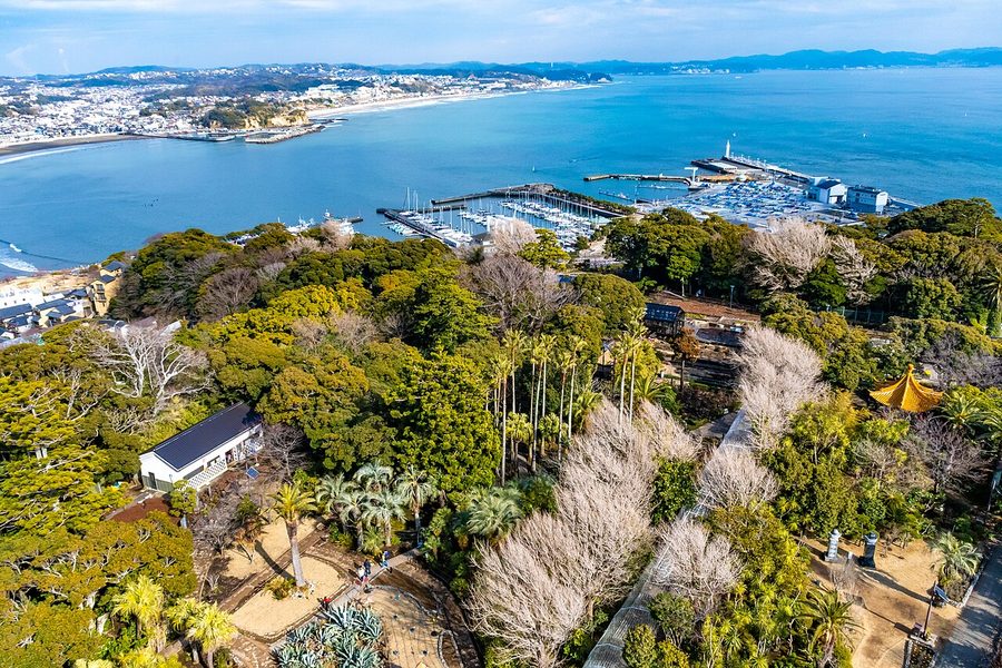 江の島の展望灯台シーキャンドルから見下ろす江の島サムエル・コッキング苑と片瀬港