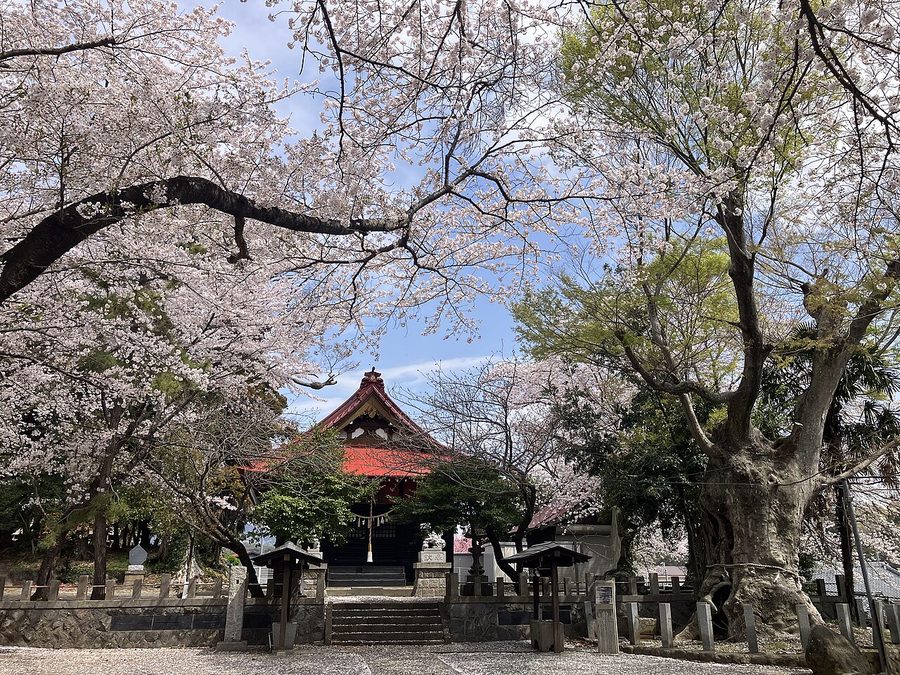 蓑笠神社の境内