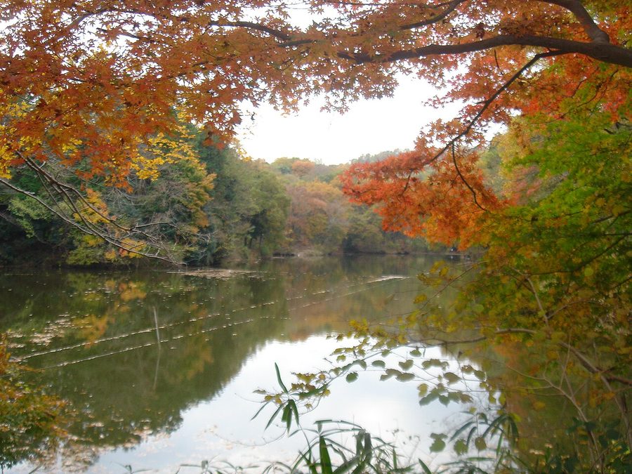 震生湖