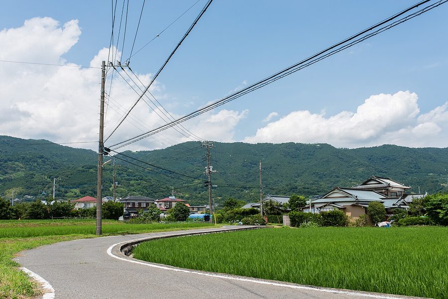 開成町金井島の田園風景