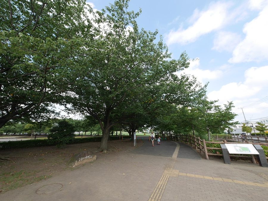 寒川中央公園の園内