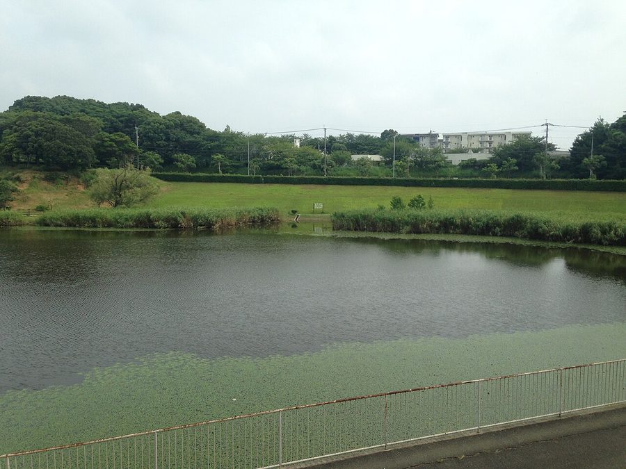 千鳥ヶ池