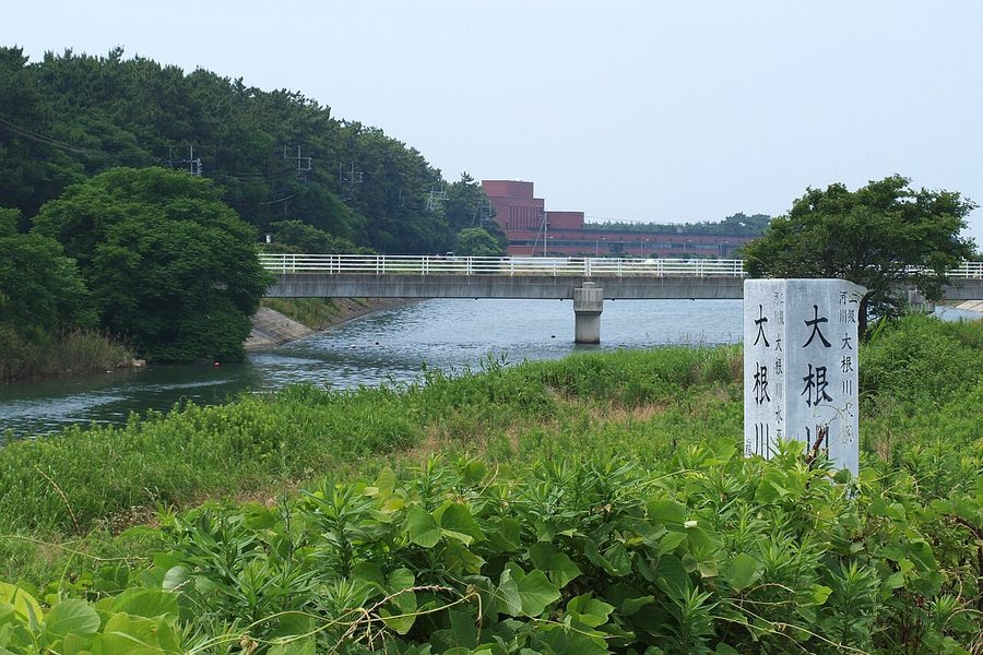 大根川下流