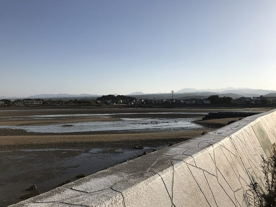 浜の宮海岸の干潟