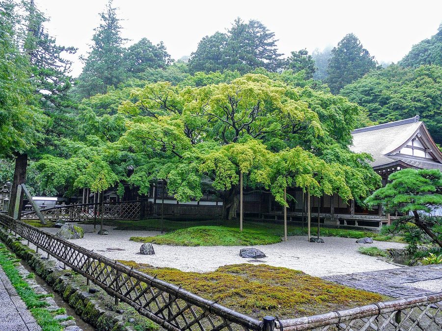 雷山千如寺の大楓