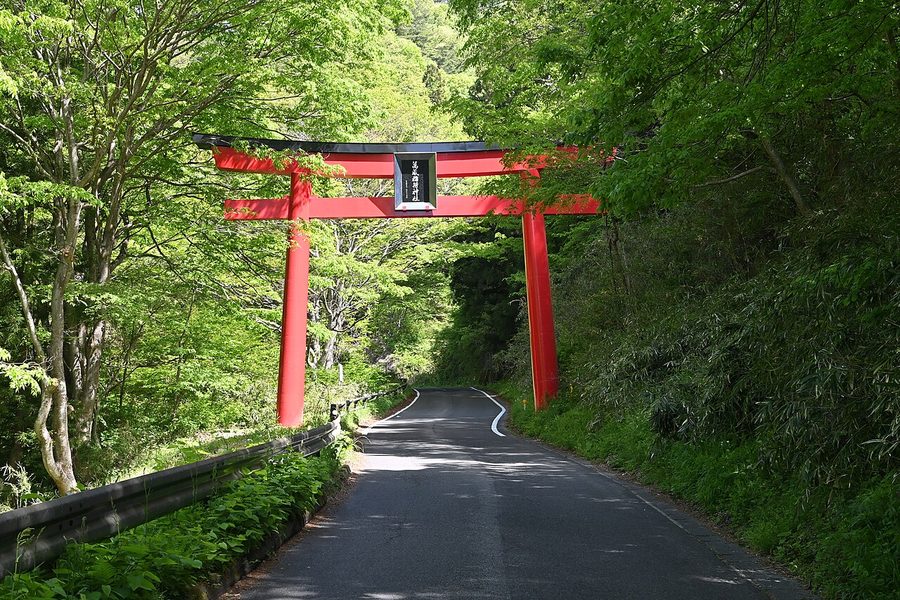 萬蔵稲荷神社の大鳥居
