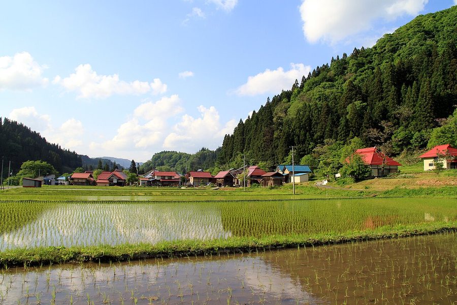 只見川沿いの水田と集落