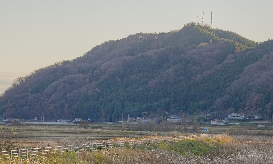 米山
