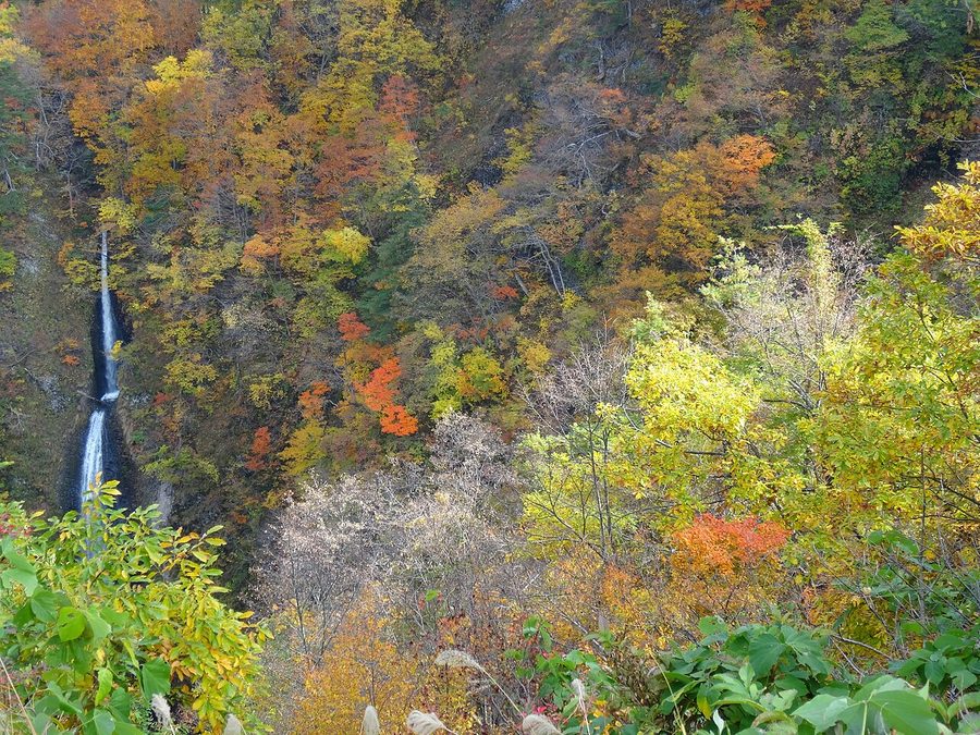 町南部の山あいに広がる渓谷と滝の紅葉風景