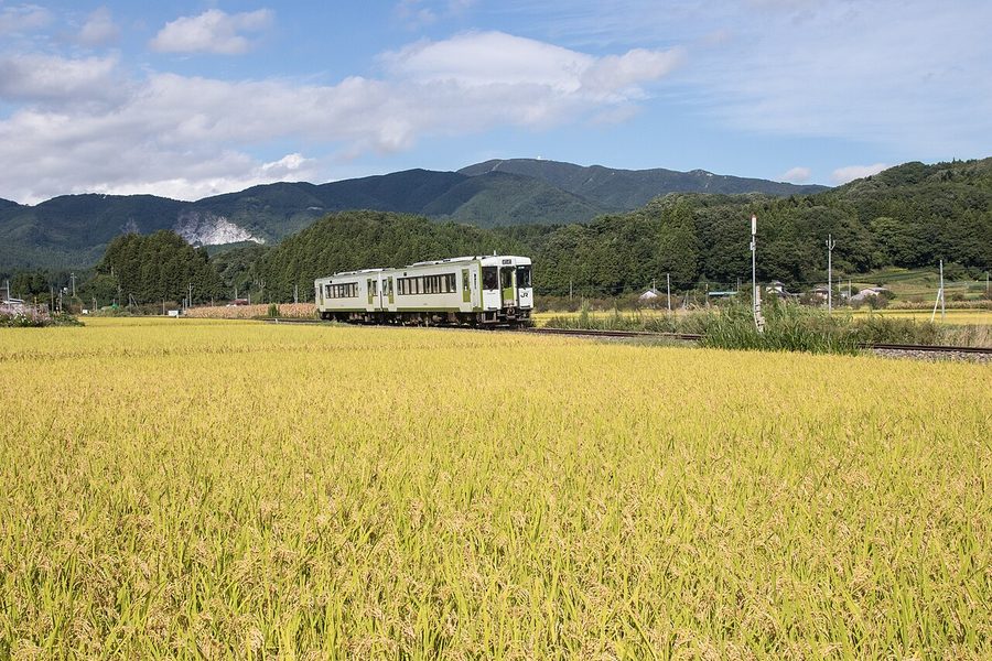 実った稲穂の間を走るJR磐越東線の列車