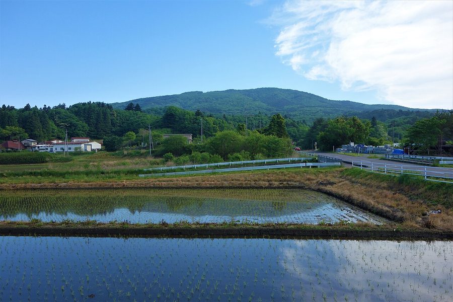 小野町の山麓から望む高柴山
