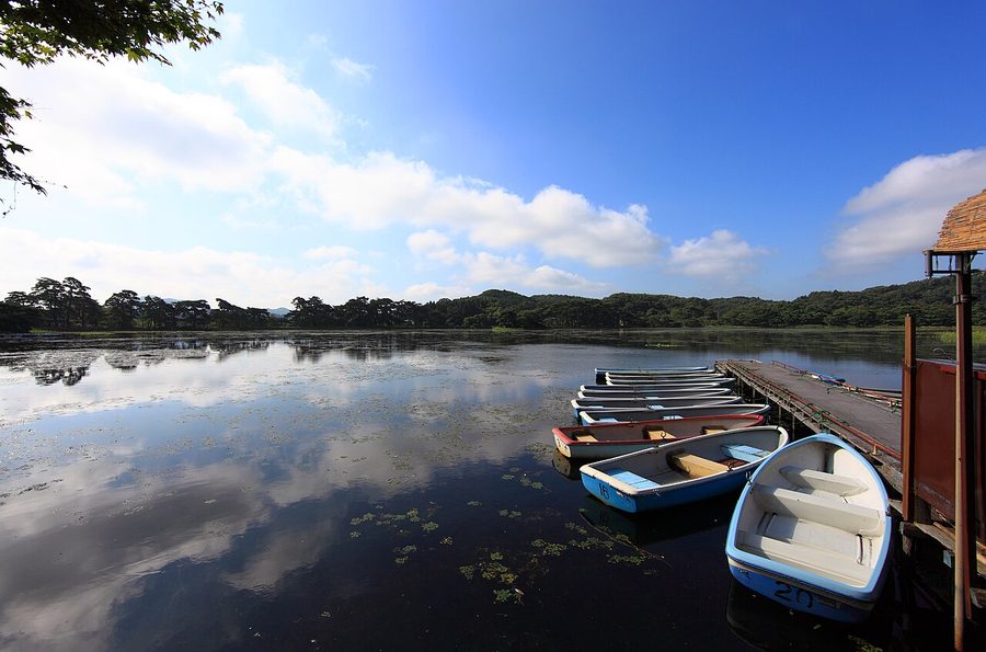 南湖公園の湖面と貸しボート