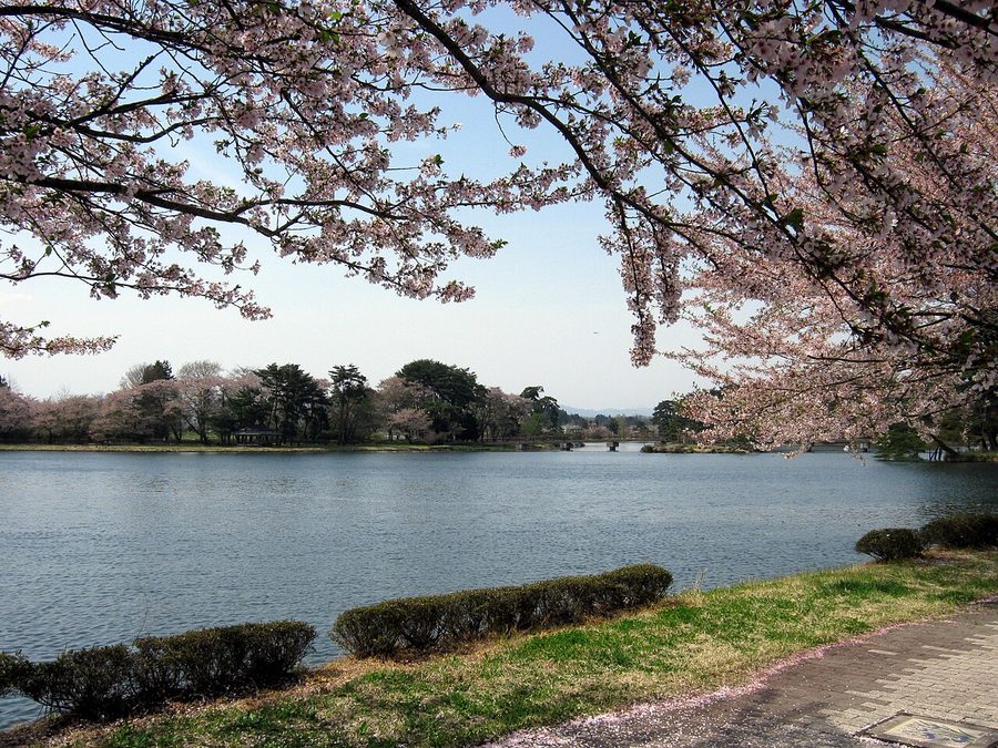 大池公園