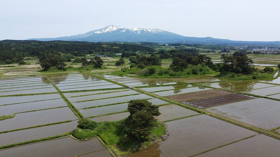 象潟の水田地帯と鳥海山