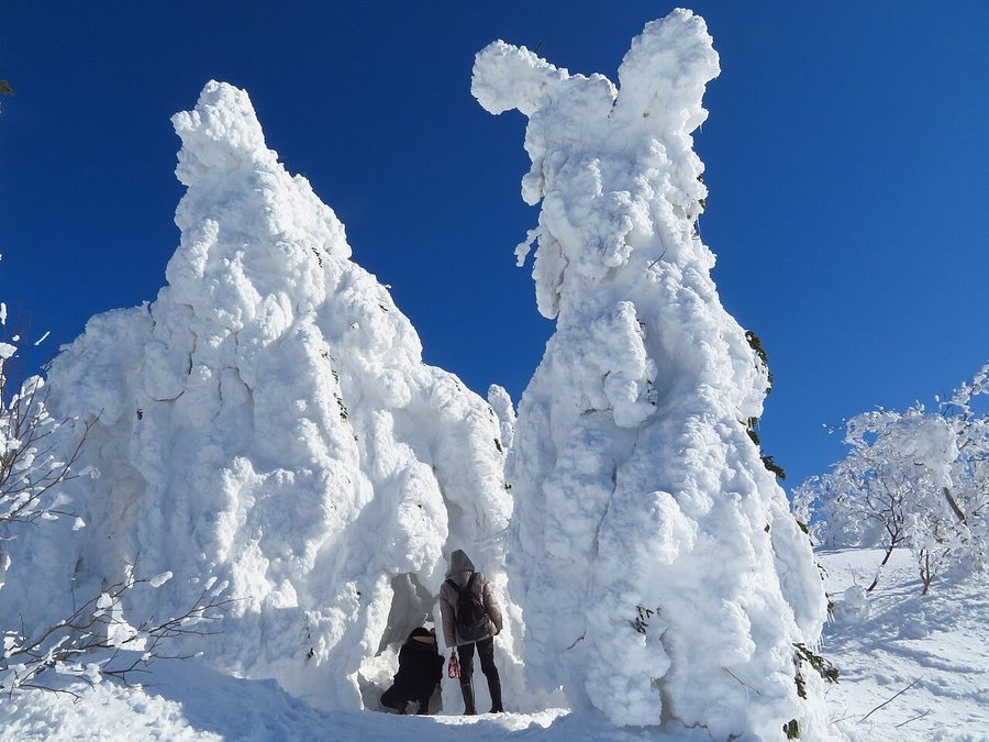 森吉山の樹氷