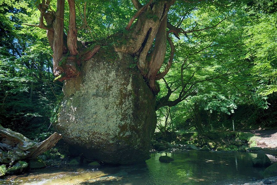 ネコバリ岩（根古波離岩）