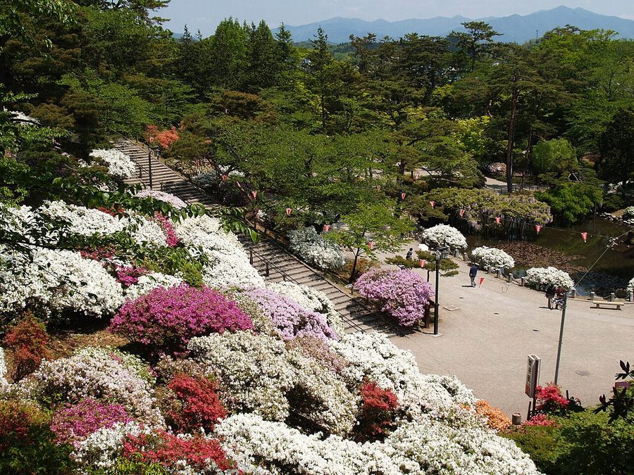 千秋公園、久保田城本丸から胡月池を望む