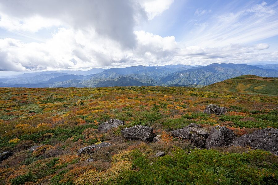 栗駒山の紅葉