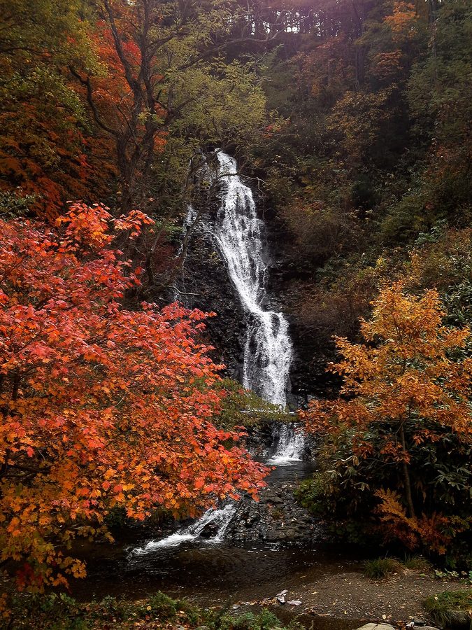 七滝と紅葉
