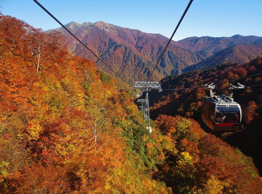 谷川岳ロープウェイのゴンドラから見た紅葉の山肌