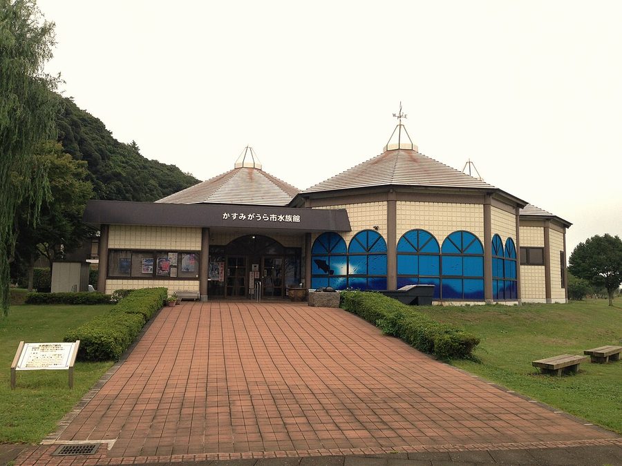 かすみがうら市水族館