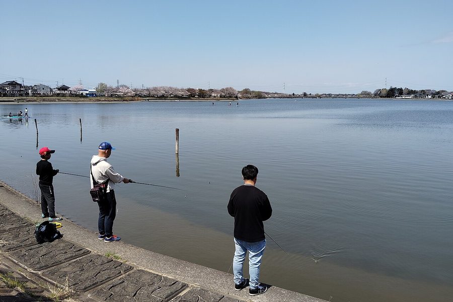 下妻市中央部に広がる砂沼