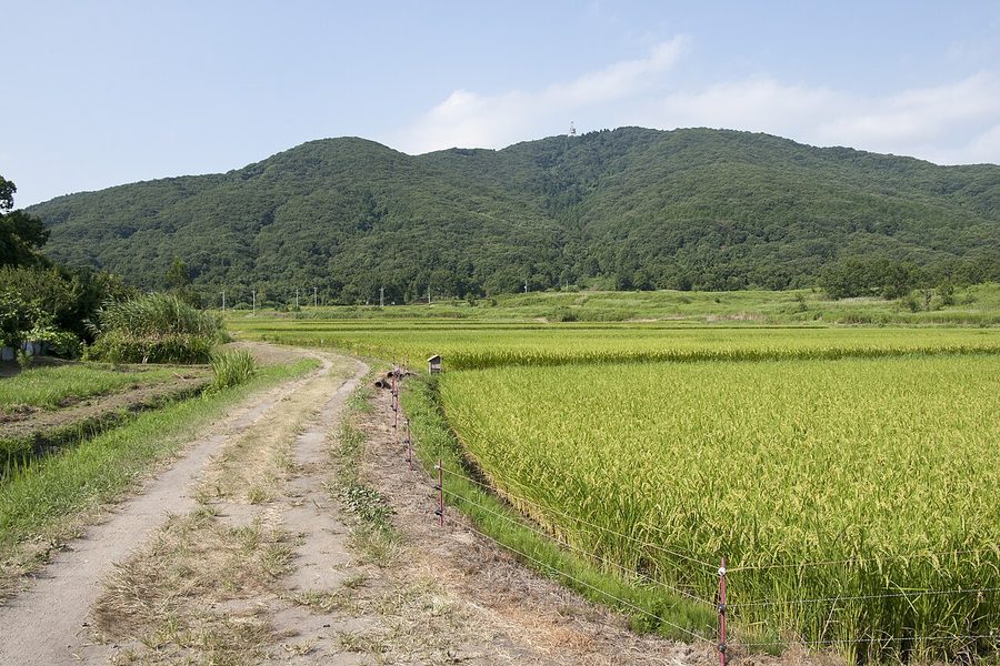 宝篋山(小田山)