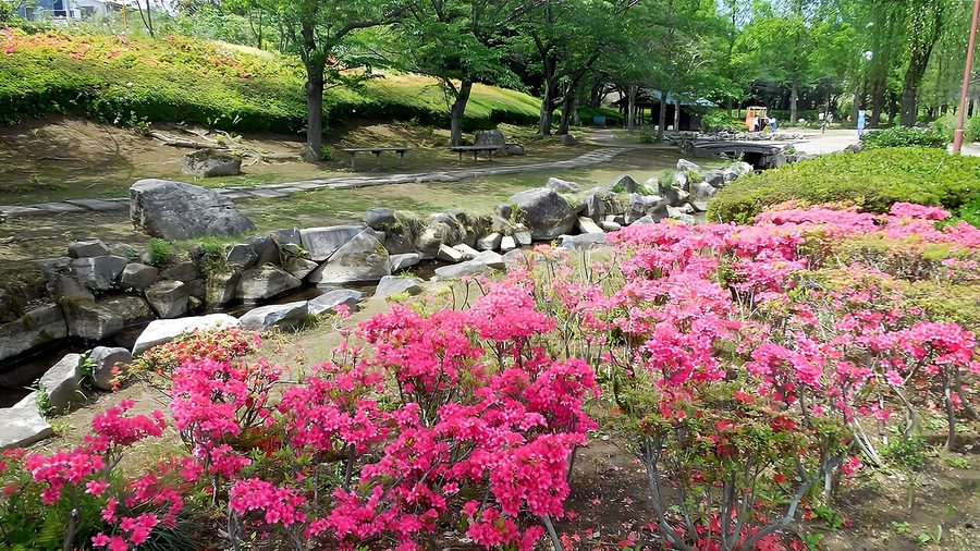 四季の里公園